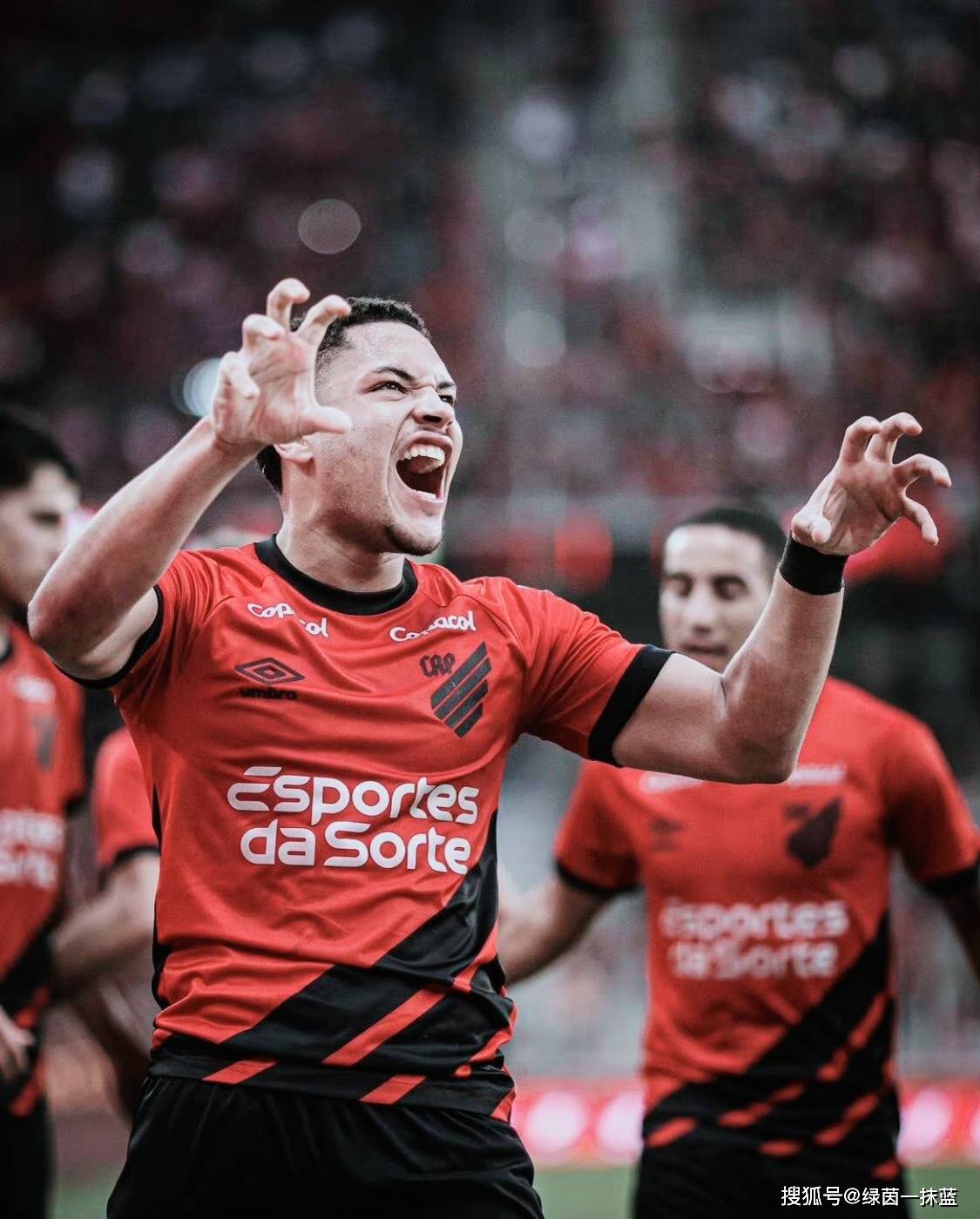 巴萨主场不负重望巴甲暴龙翱翔南境,稳步上升 巴萨主场不负重望巴甲暴龙翱翔南境,稳步上升