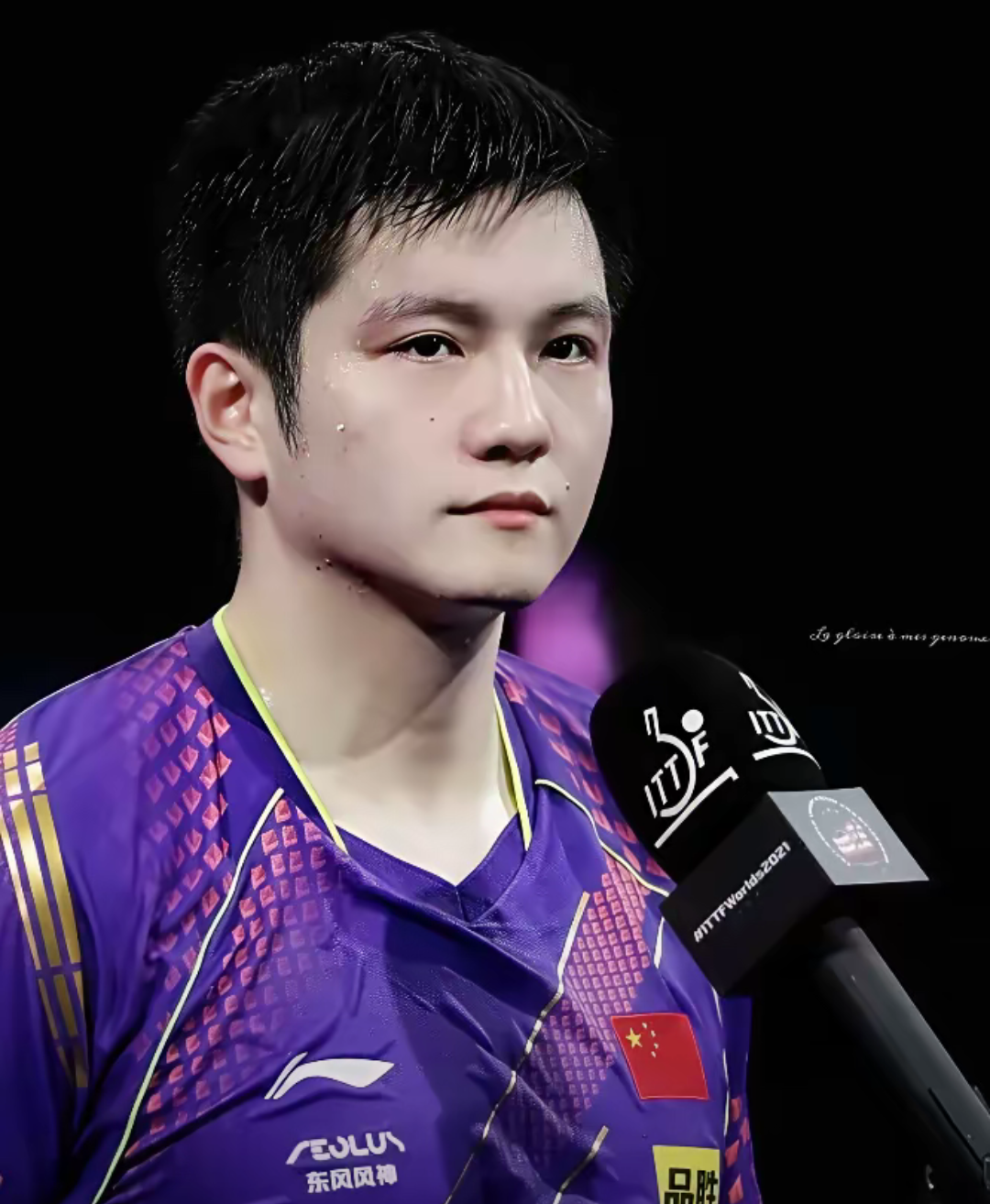 瑞典队翻盘德国队,樊振东带队取胜 瑞典队翻盘德国队,樊振东带队取胜